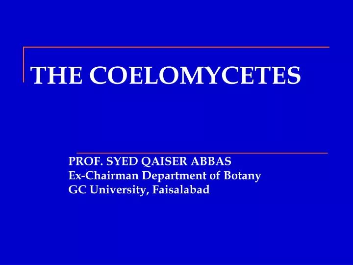 the coelomycetes