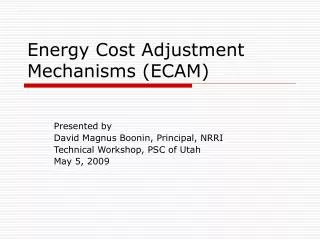 Energy Cost Adjustment Mechanisms (ECAM)