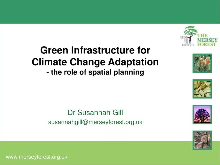green infrastructure for climate change adaptation the role of spatial planning