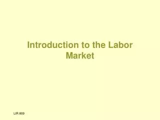 Introduction to the Labor Market