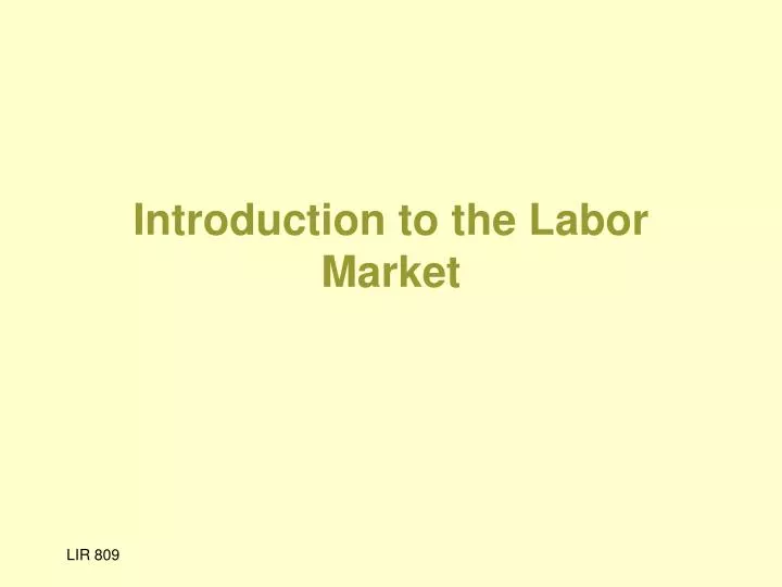 introduction to the labor market