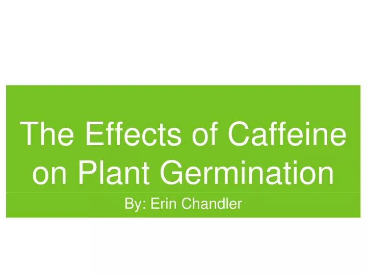 the effects of caffeine on plant germination