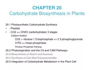 CHAPTER 20 Carbohydrate Biosynthesis in Plants