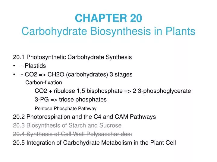 chapter 20 carbohydrate biosynthesis in plants
