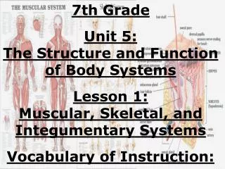 7th Grade Unit 5: The Structure and Function of Body Systems Lesson 1: Muscular, Skeletal, and Integumentary Systems Voc