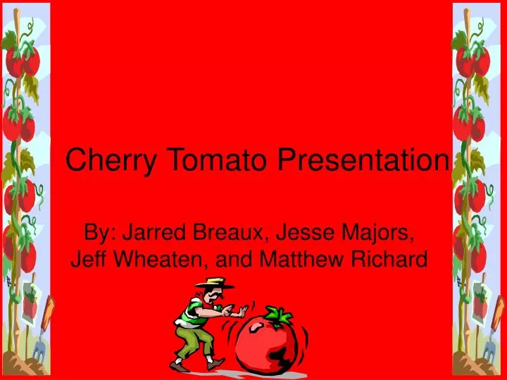 cherry tomato presentation