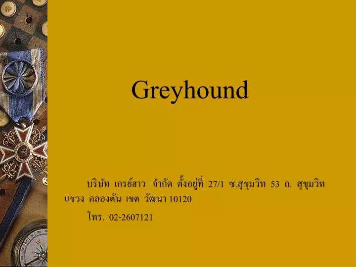 greyhound