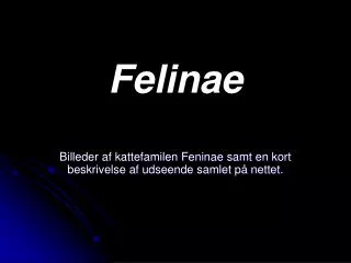 Felinae