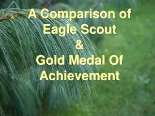A Comparison of Eagle Scout &amp; Gold Medal Of Achievement