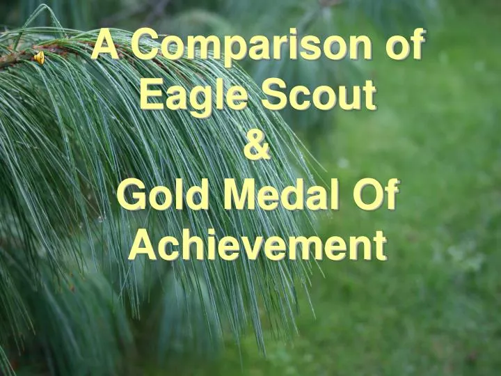 a comparison of eagle scout gold medal of achievement