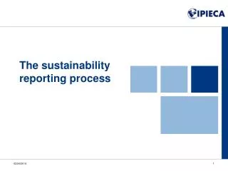 The sustainability reporting process