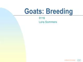 Goats: Breeding