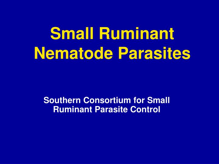 small ruminant nematode parasites