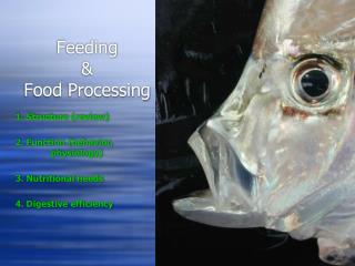 Feeding &amp; Food Processing