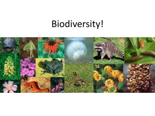 Biodiversity!