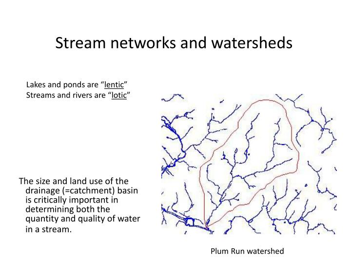stream networks and watersheds