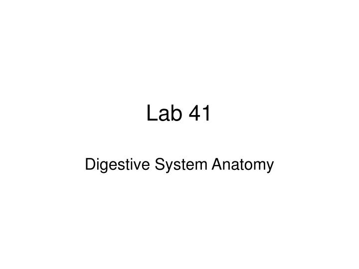 lab 41