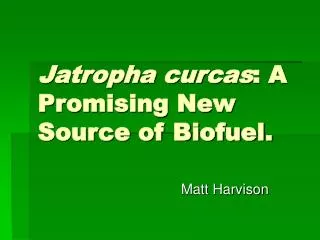 Jatropha curcas : A Promising New Source of Biofuel.