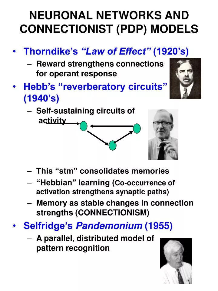 neuronal networks and connectionist pdp models