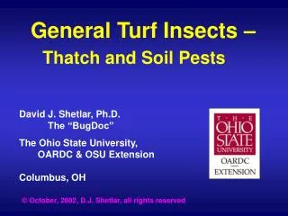 General Turf Insects – Thatch and Soil Pests