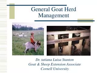General Goat Herd Management