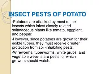 INSECT PESTS OF POTATO