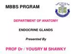 MBBS PRGRAM - slide 1