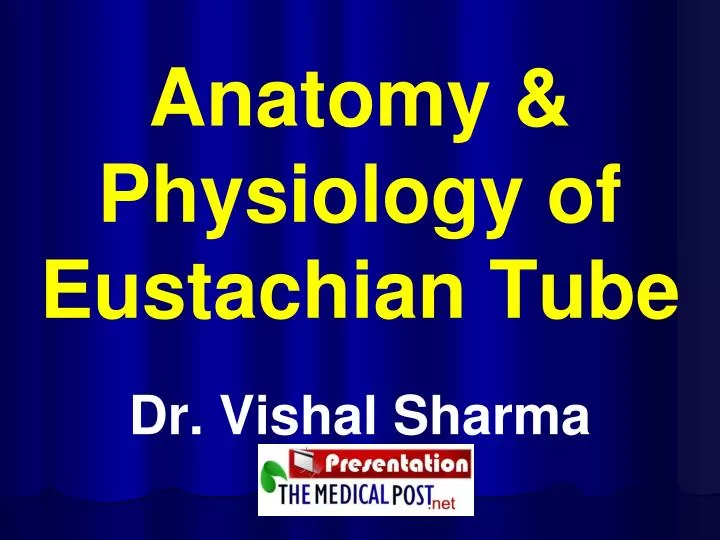 anatomy physiology of eustachian tube