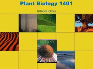 Plant Biology 1401