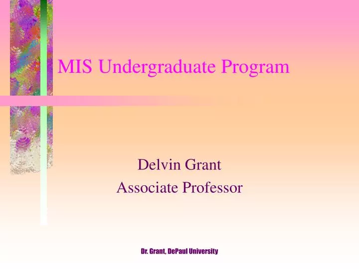 mis undergraduate program