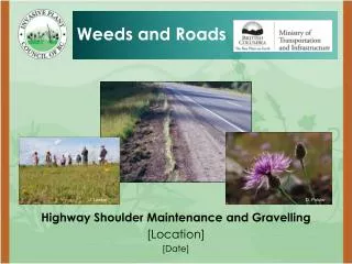 Highway Shoulder Maintenance and Gravelling [Location] [Date]