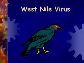 West Nile Virus