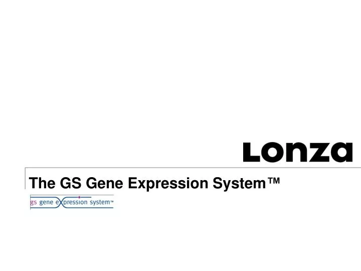 the gs gene expression system