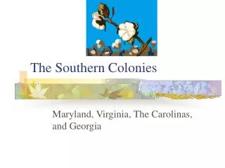 The Southern Colonies