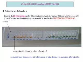 la galerie api 20e travail de r ferry cannes