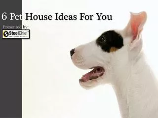 6 Pet House Ideas For You