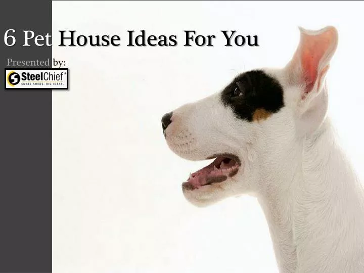 6 pet house ideas for you