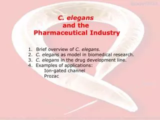 C. elegans and the Pharmaceutical Industry