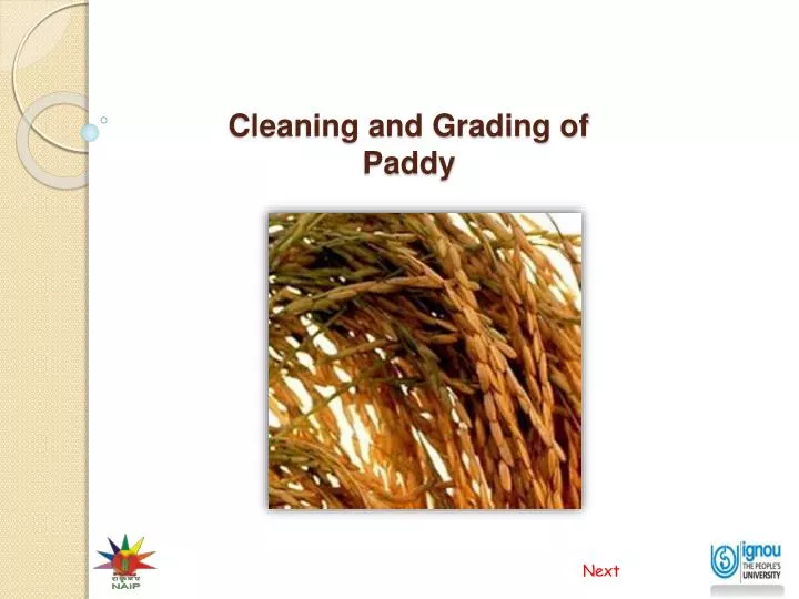 cleaning and grading of paddy