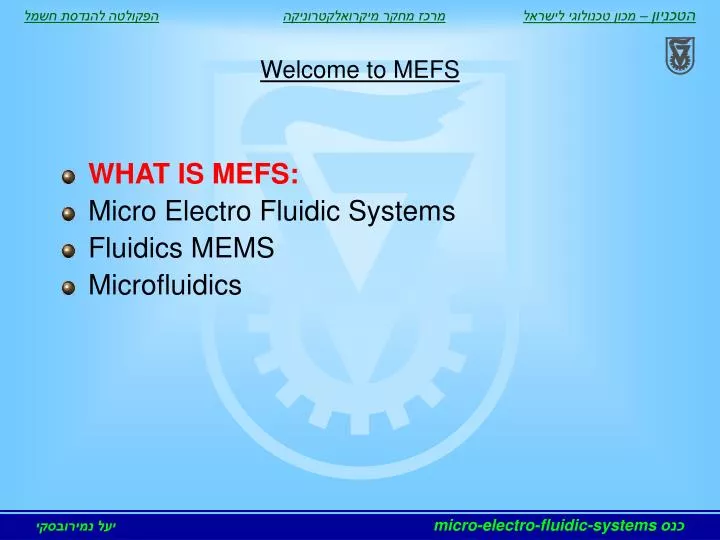 welcome to mefs