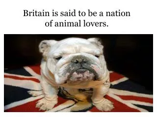Britain is said to be a nation of animal lovers.