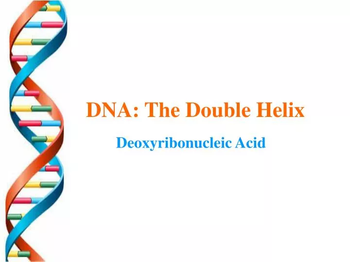 dna the double helix