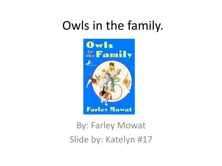 owls in the family