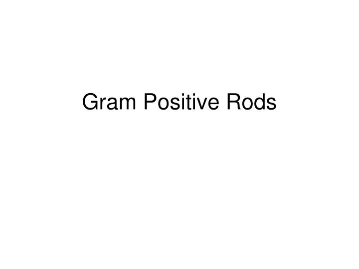 gram positive rods