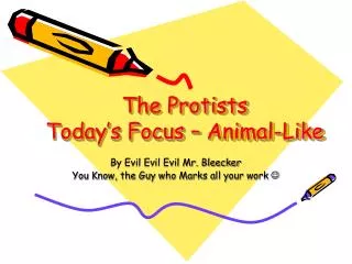 The Protists Today’s Focus – Animal-Like