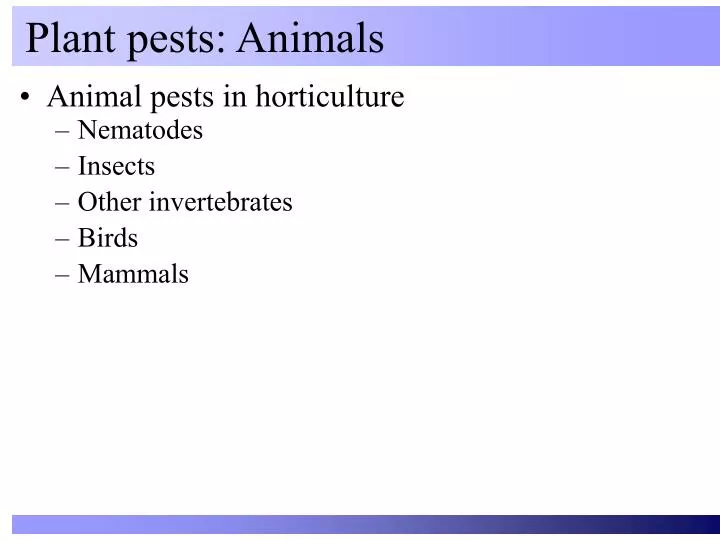 plant pests animals