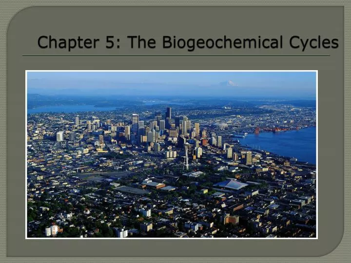 chapter 5 the biogeochemical cycles