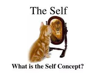 What is the Self Concept?