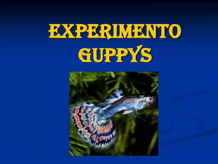 experimento guppys