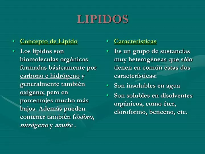 lipidos